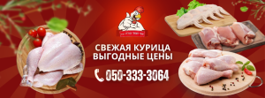 banner-Of Datma Nazareth Ltd.-facebookHeader